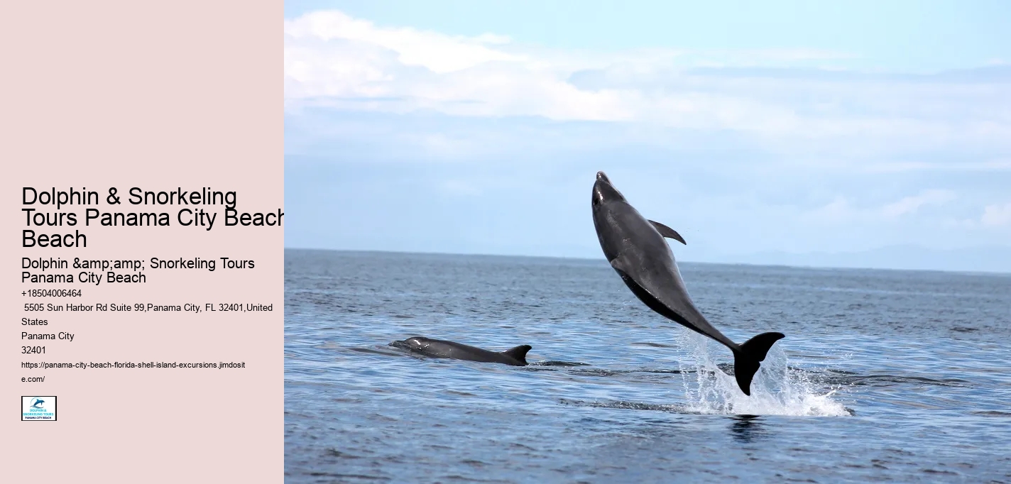 Dolphin & Snorkeling Tours Panama City Beach Beach