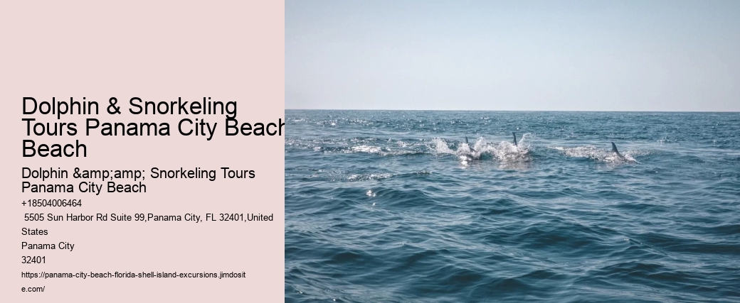 Snorkeling Adventures Departing From Panama City Beach