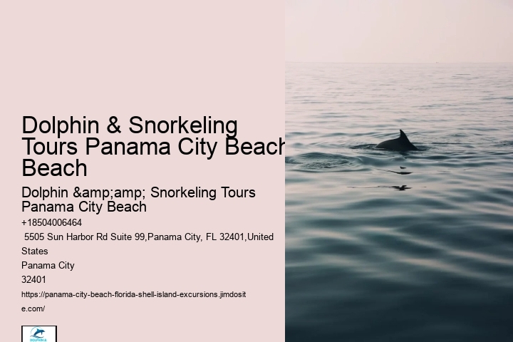 Panama City Beach Snorkeling Tours Miami