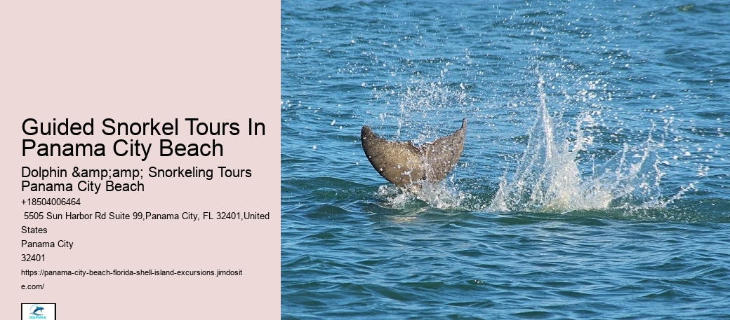 How Long Can You Stay Under While Snorkeling