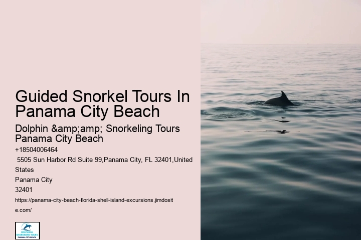 Guided Snorkel Tours In Panama City Beach