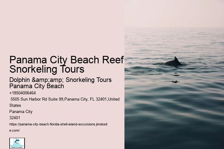 Panama City Beach Reef Snorkeling Tours