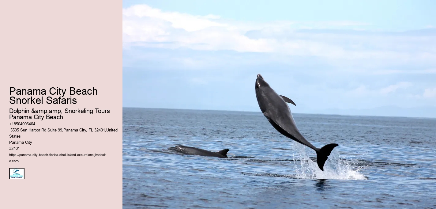 Panama City Beach Snorkel Safaris