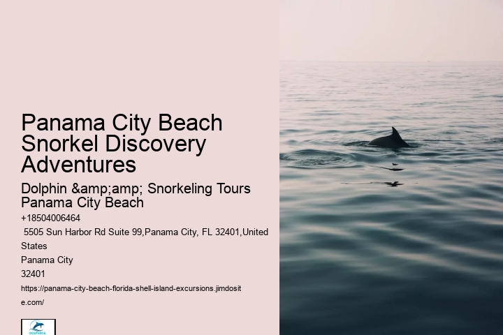 Panama City Beach Snorkel Discovery Adventures