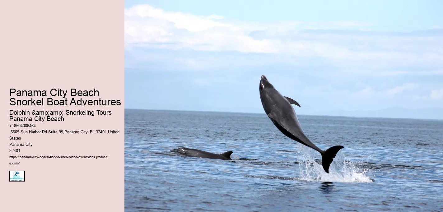 Panama City Beach Snorkel Boat Adventures