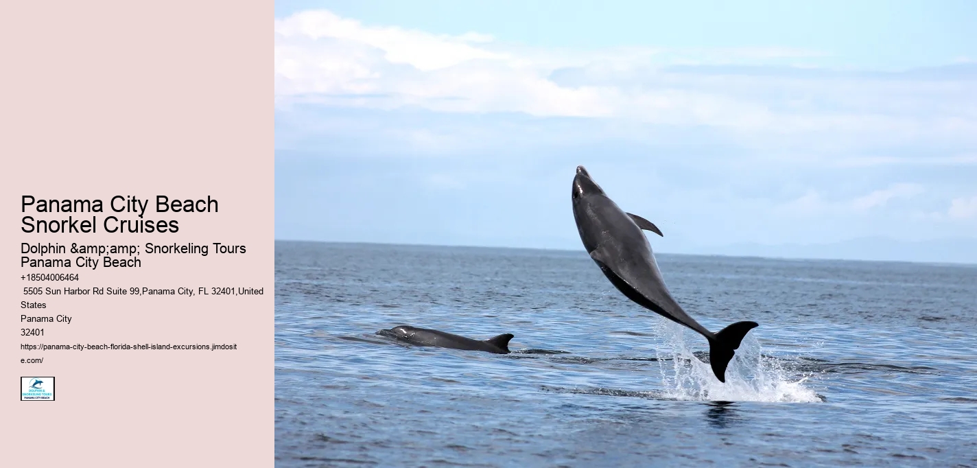 Panama City Beach Snorkel Cruises