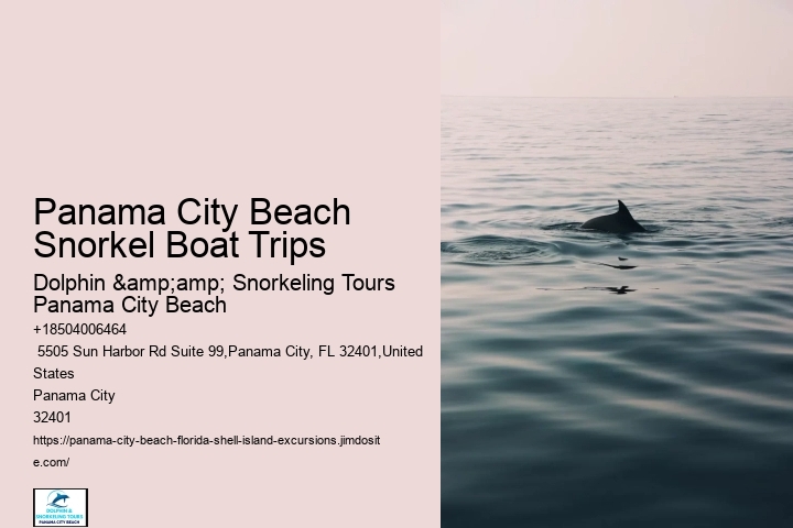 Panama City Beach Snorkel Boat Trips