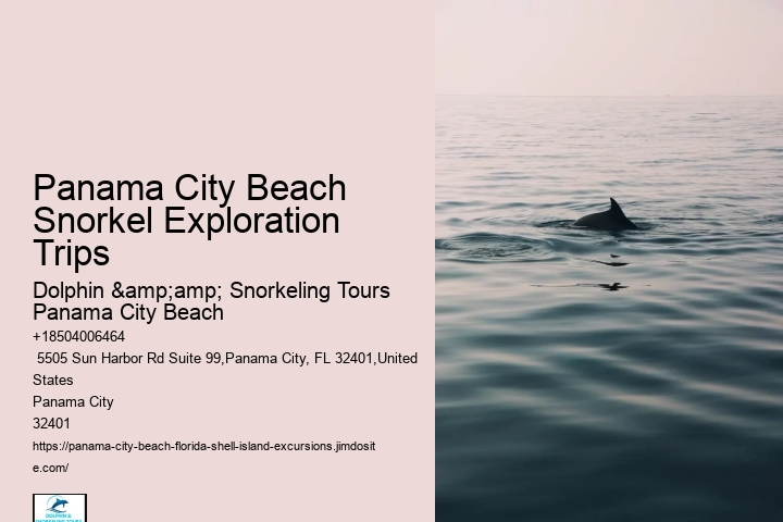 Panama City Beach Snorkel Exploration Trips