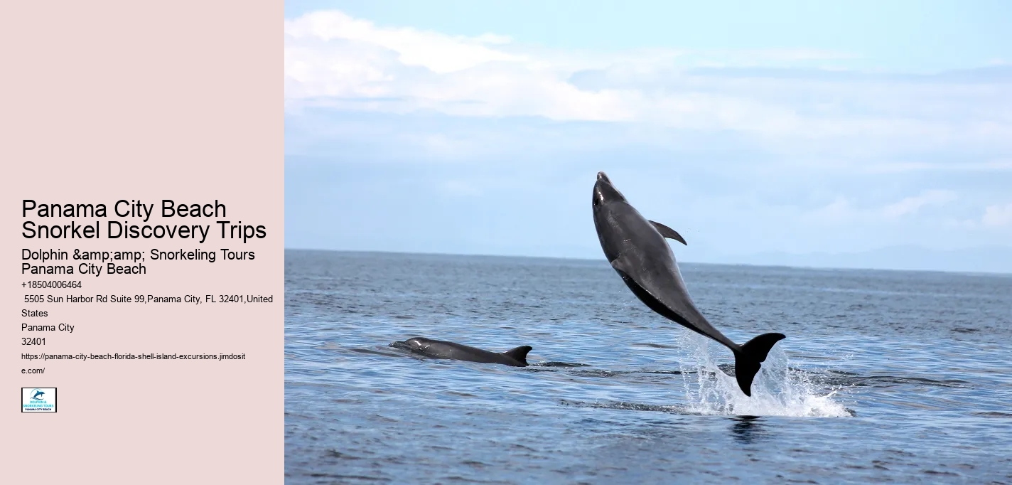 Panama City Beach Snorkel Discovery Trips