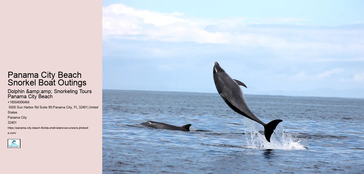 Panama City Beach Snorkel Boat Outings