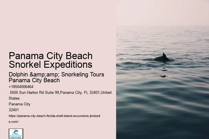 Panama City Beach Snorkel Expeditions