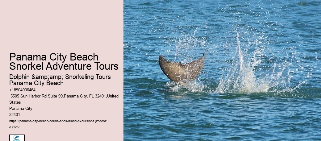 Panama City Beach Snorkeling Tours Jupiter Florida