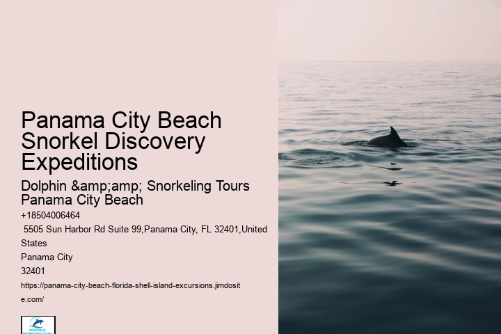 Top 10 Panama City Beach Snorkeling Tours 2024