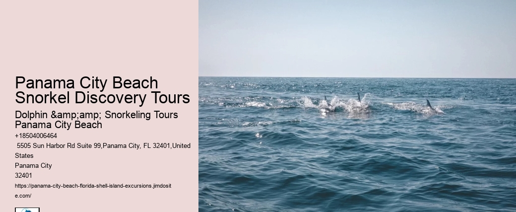 Snorkeling Panama City Beach Panama