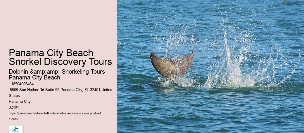 Panama City Beach Snorkel Discovery Expeditions