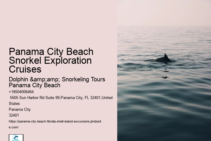 Panama City Dolphin Seafari Tours: Dolphin & Snorkeling