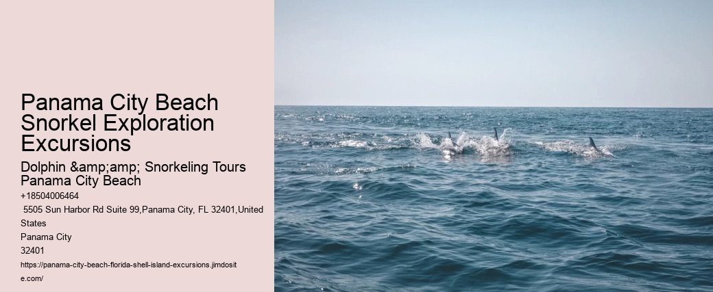 What Beach In Florida Has Pink Sand