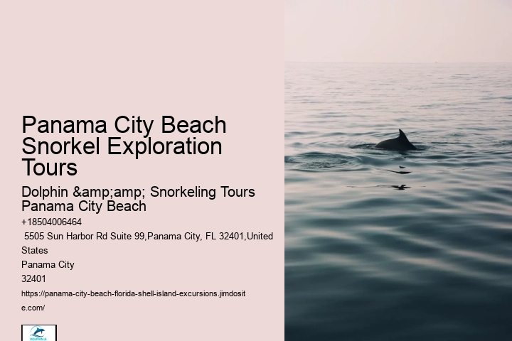 Are There Any Night Snorkeling Tours Available In Panama City Beach