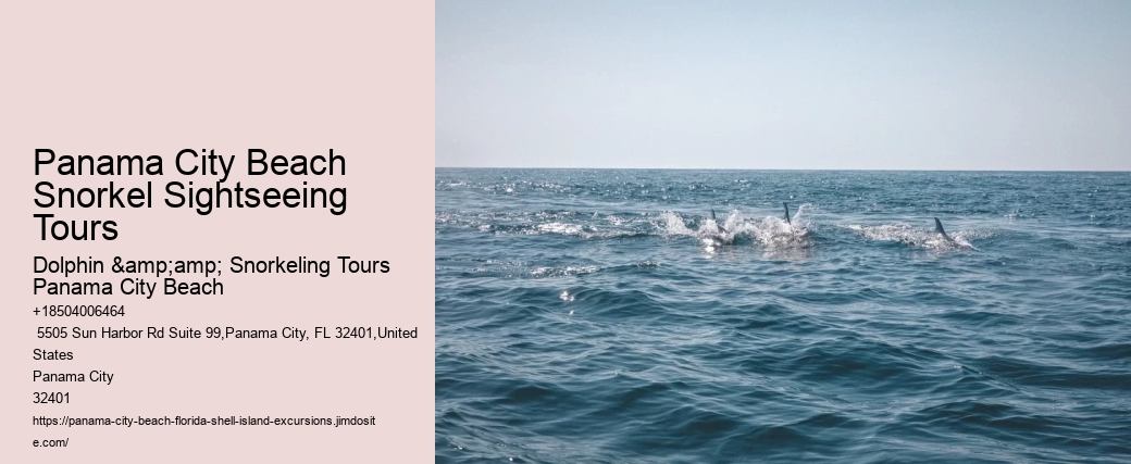 Panama City Beach Snorkeling Tours And More