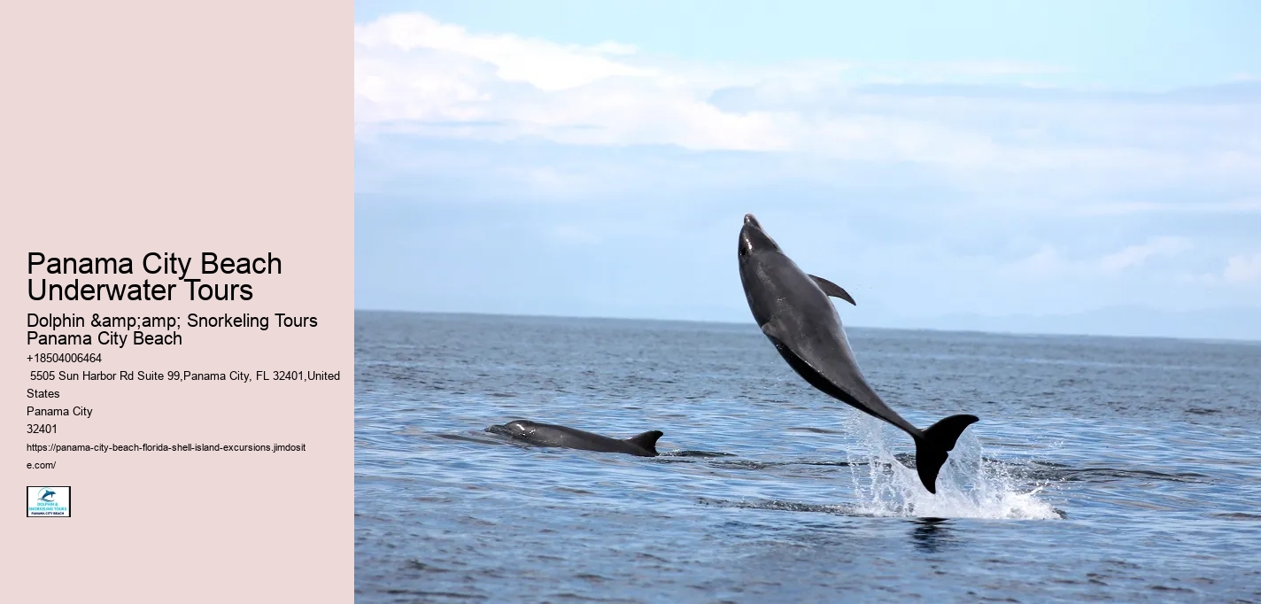 Panama City Beach Underwater Tours