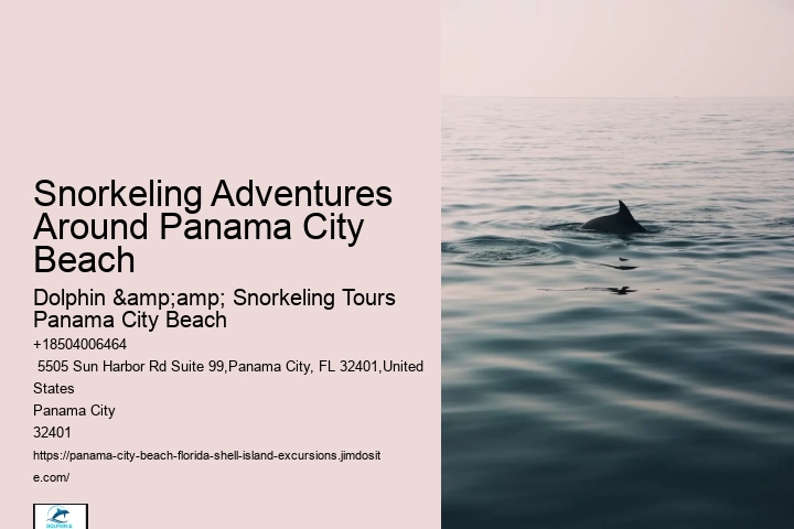 Panama City Beach Snorkeling Tours Utility