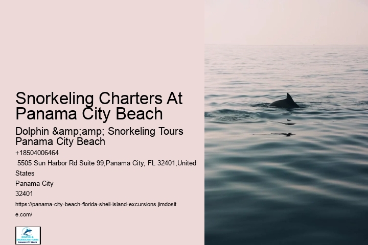 Snorkeling Charters At Panama City Beach