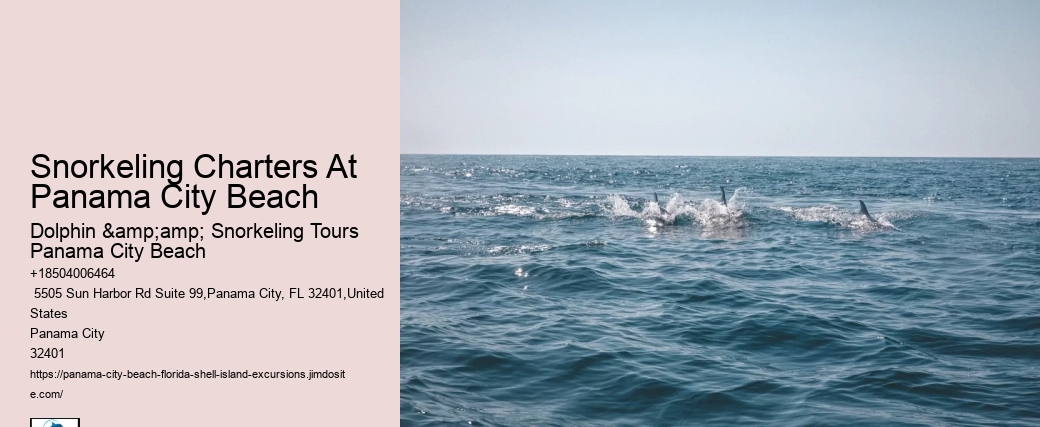 Panama City Beach Snorkeling Tours Reef