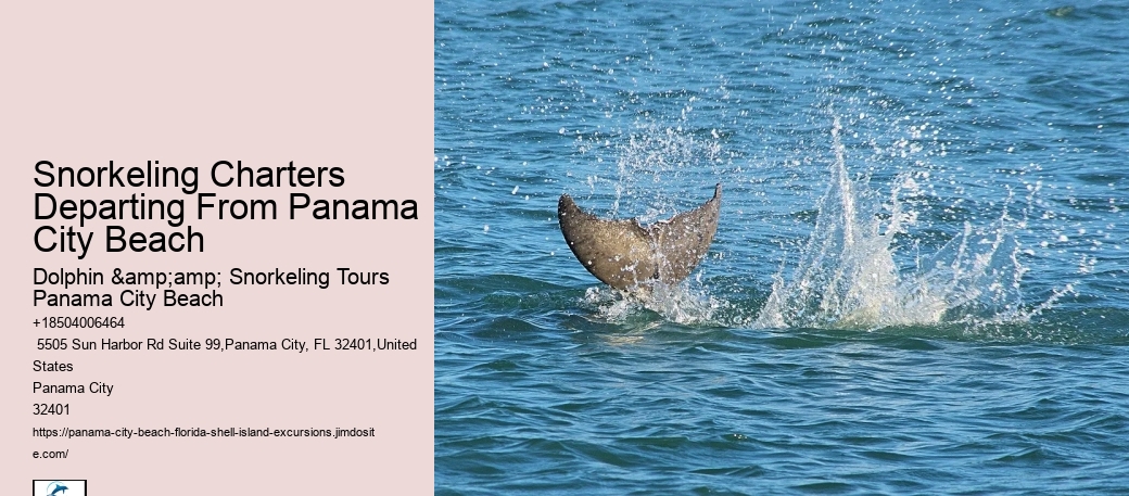 Panama City Beach Snorkeling Tours Lakewood Ranch