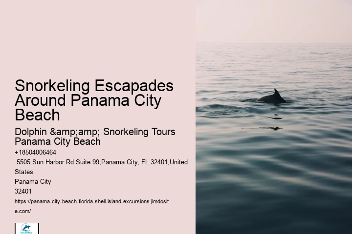 Best Snorkeling In Panama City Beach Beach