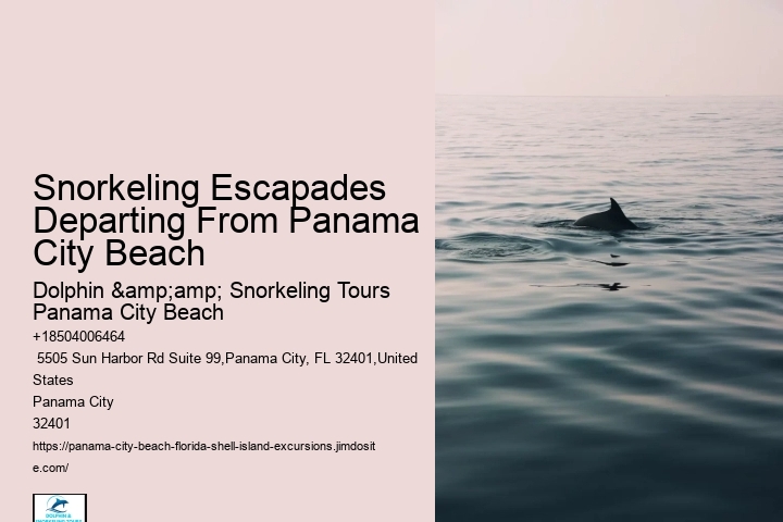 Panama City Beach Snorkeling Tours Agency