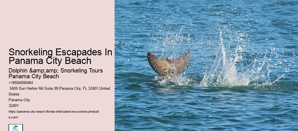 Snorkeling Escapades Departing From Panama City Beach