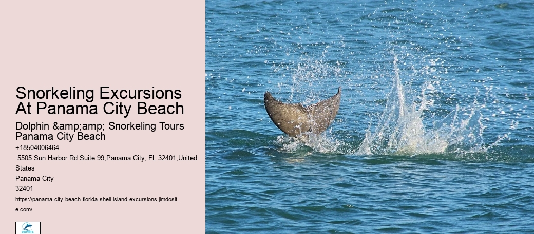 Can I Bring My Own Underwater Camera On The Snorkeling Tour