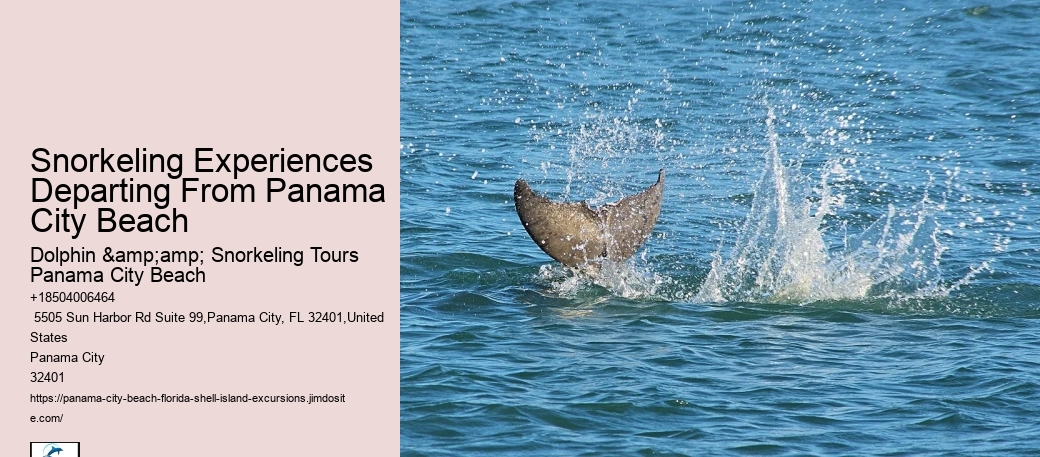 Panama City Beach Snorkel Boat Excursions