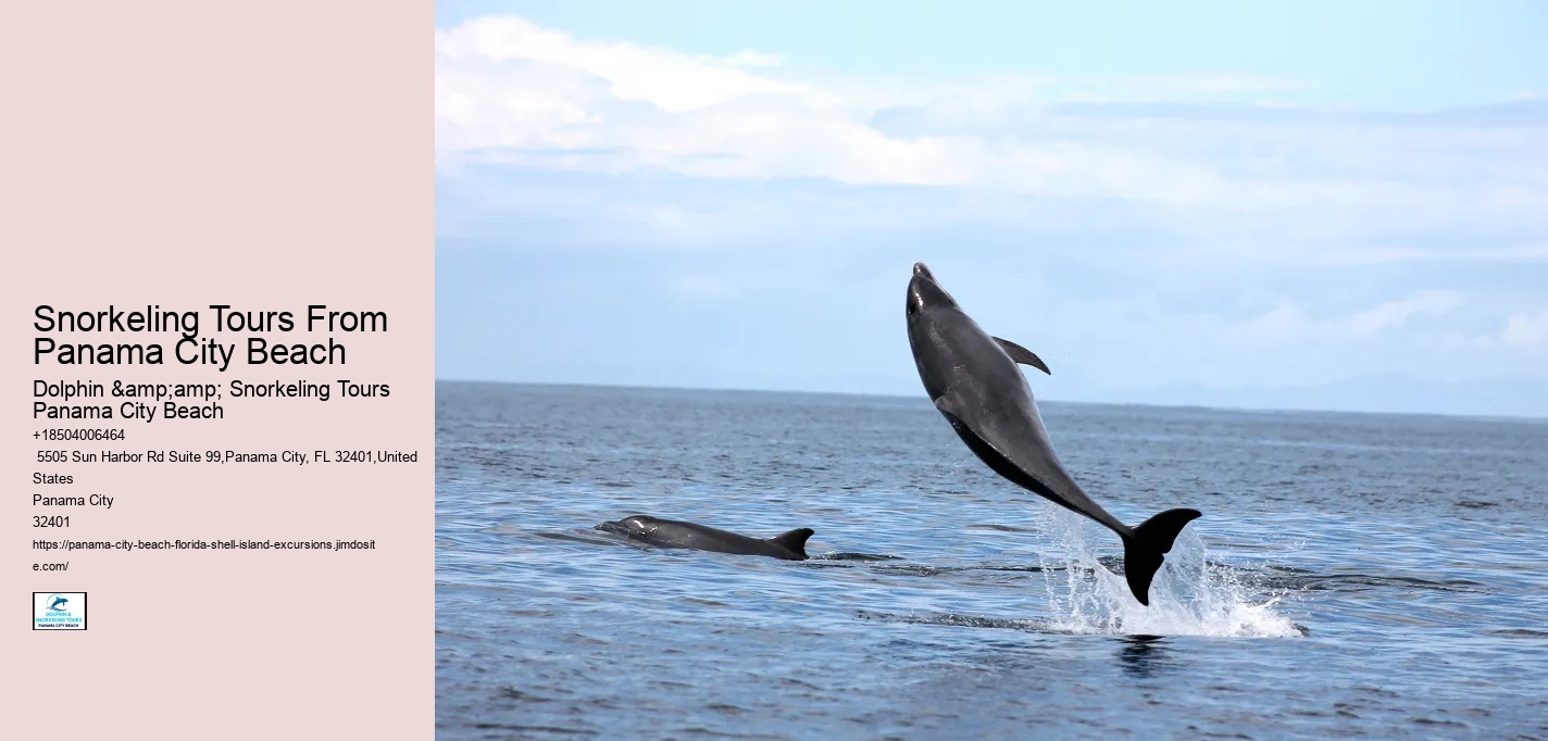 Snorkeling Tours From Panama City Beach