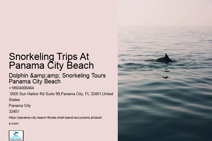 Snorkeling Trips Around Panama City Beach