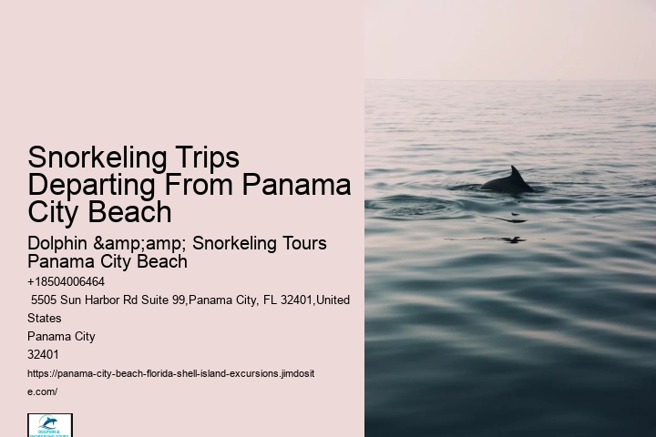 Snorkeling Trips Departing From Panama City Beach