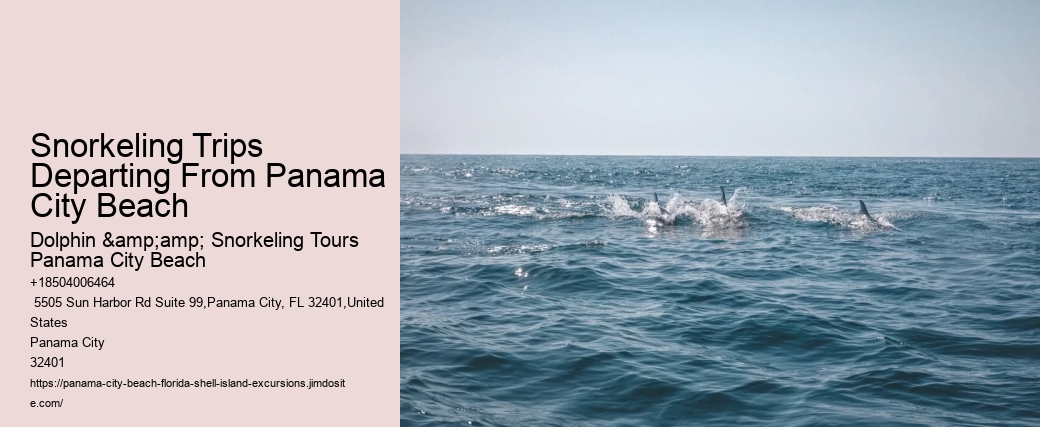 Panama City Beach Snorkel Discovery Adventures