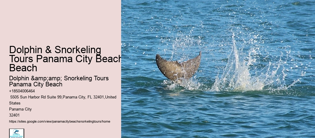 Panama City Beach Snorkeling Tours Vero Beach