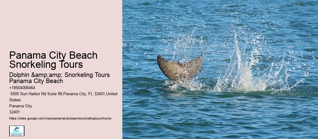Snorkeling Trips Departing From Panama City Beach