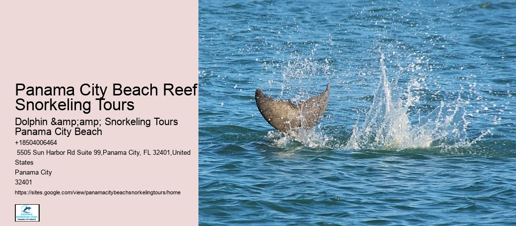 Panama City Beach Snorkeling Tours Zone
