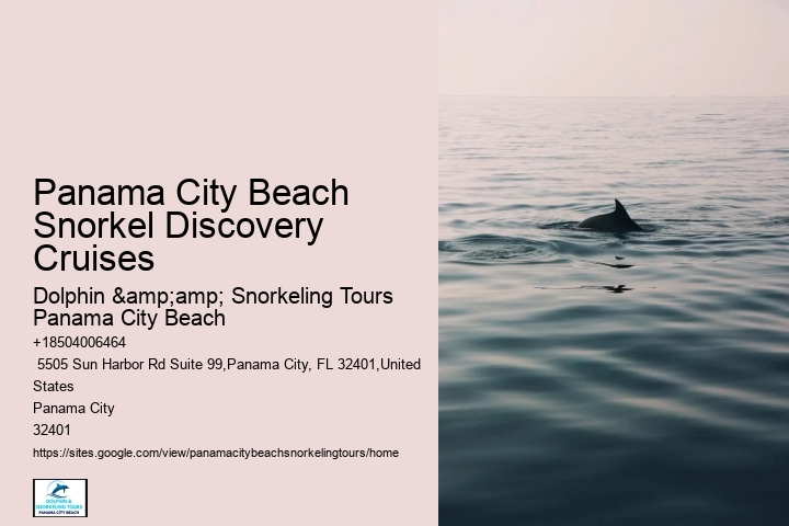 Dolphin And Snorkeling Tours