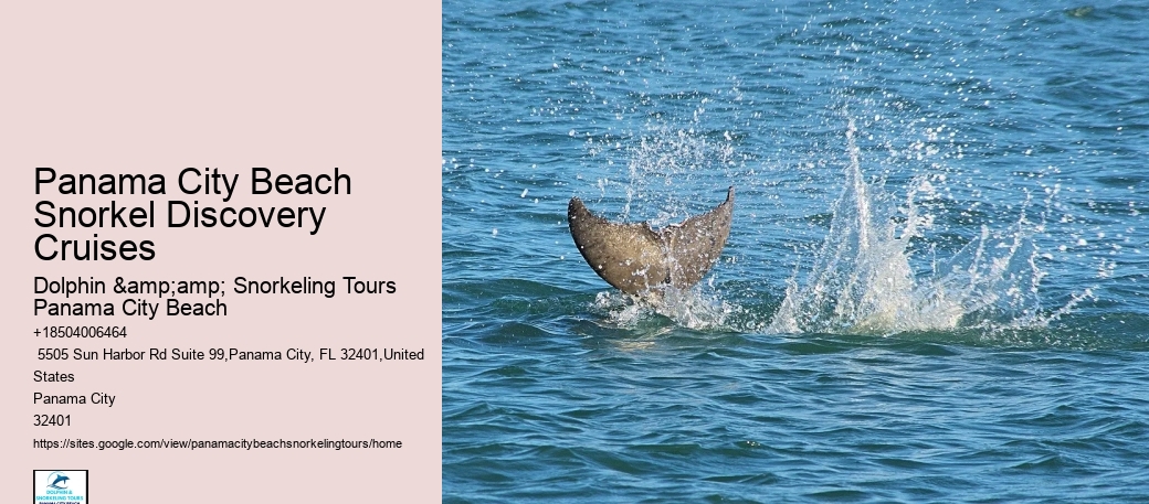 Panama City Beach Snorkeling Tours Key West