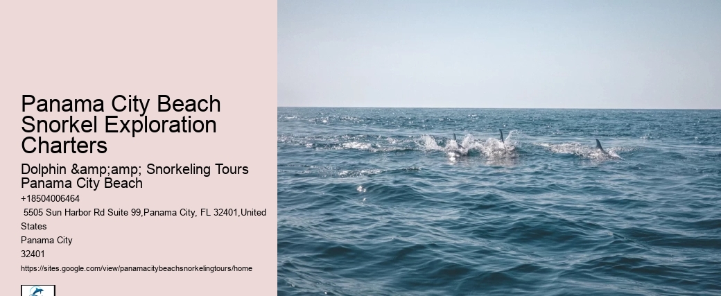 Panama City Beach Snorkeling Tours 17