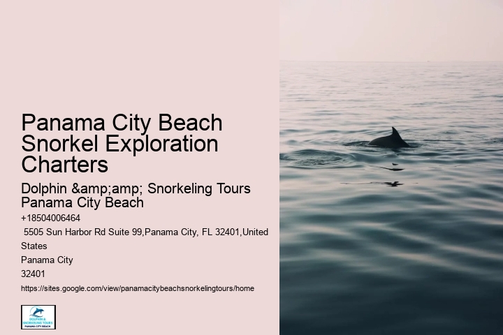 Panama City Beach Snorkeling Tours Savage Valley