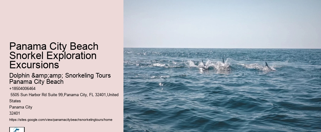 Are There Any Restrictions On Touching Marine Life During The Snorkeling Tours