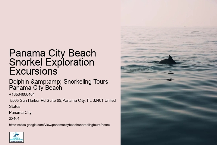 Panama City Beach Snorkeling Tours Wisconsin