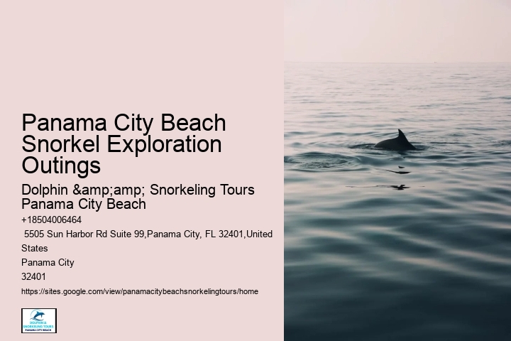 Panama City Beach Snorkeling Tours The Island
