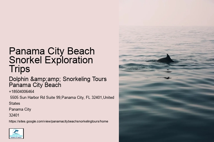 Panama City Beach Snorkeling Tours Forest
