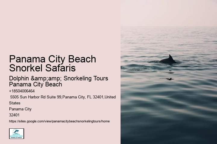 Panama City Beach Snorkeling Tours Prices