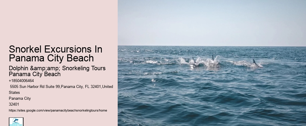 Panama City Beach Snorkel Exploration Charters